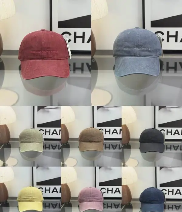 Alexander Wang Small Embroidered Logo Washed Baseball Cap In Different Colors