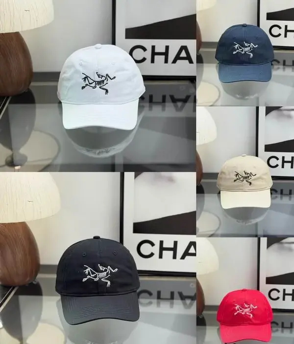 Arcteryx Outdoor Technical Bird Logo Cap In Different Colors