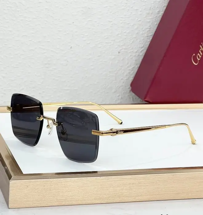 Cartier CT0007RS Rimless Rectangular Sunglasses In Different Colors