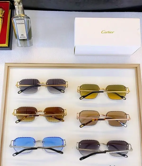 Cartier CT0420S Rimless Sunglasses In Multiple Colors