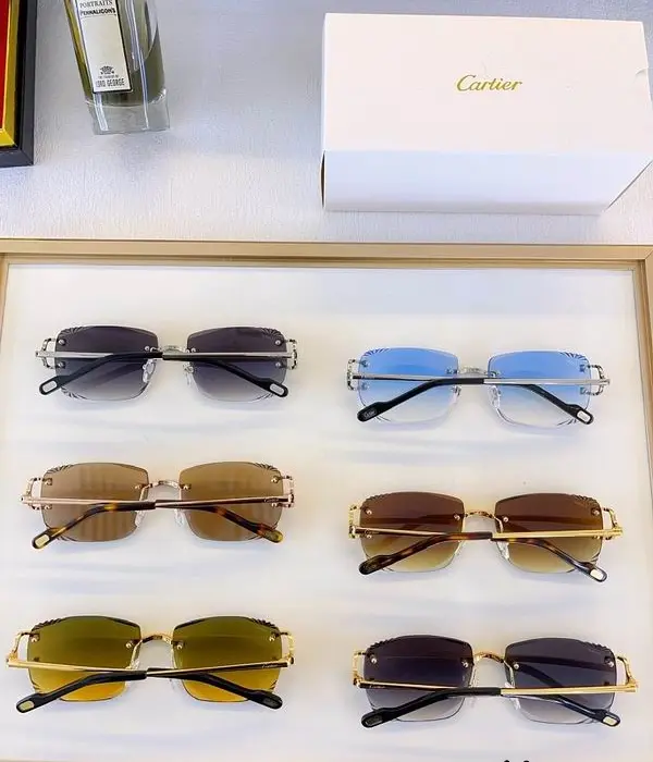 Cartier CT0420S Rimless Sunglasses In Different Colors