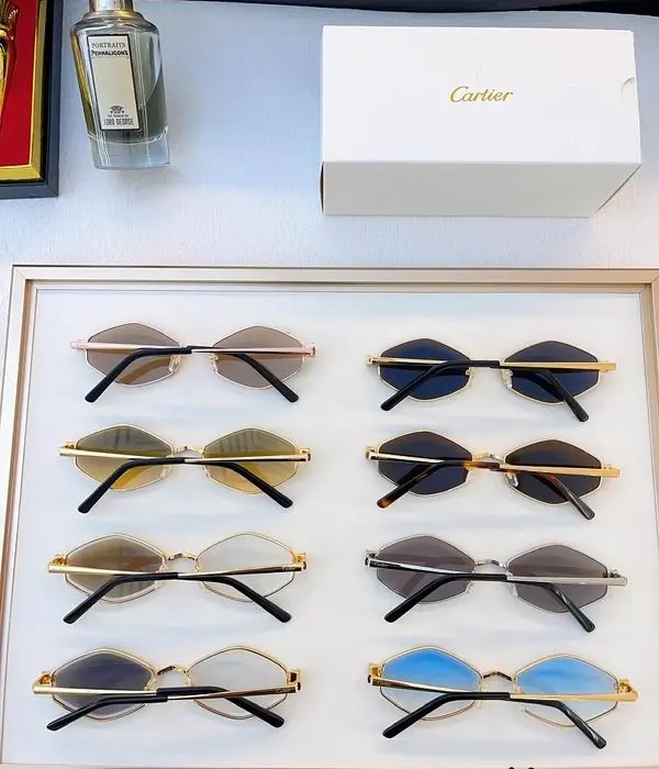 Cartier CT0636S Hexagonal Sunglasses In Different Colors