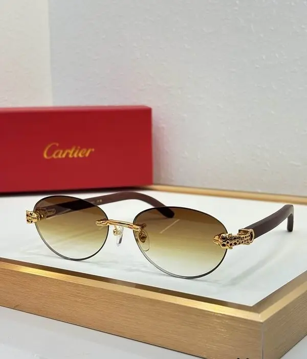 Cartier CT0504S Rimless Oval Sunglasses In Different Colors