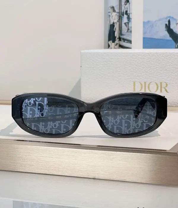 Dior Oblique S2I Sunglasses In 2 Colors