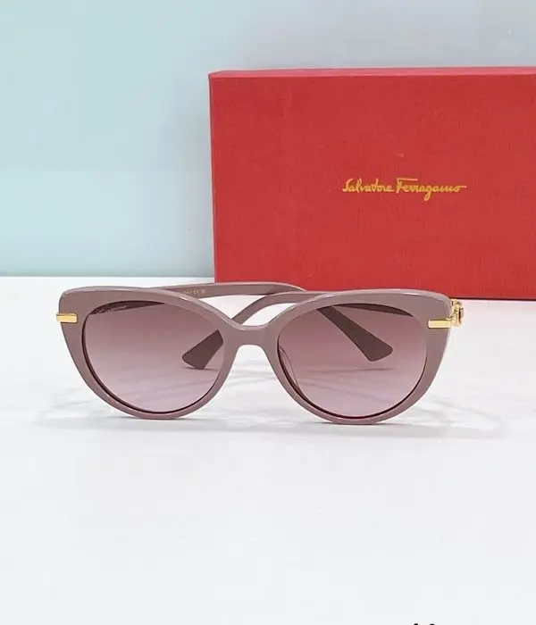 Ferragamo Gancini Acetate Sunglasses In Different Colors