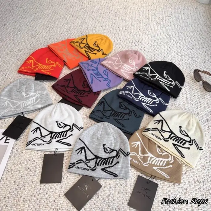 Arc'teryx Bird Head Toque Skull Beanie In Multiple Colors