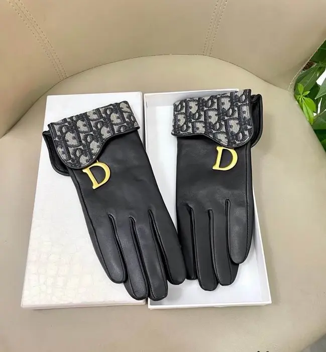 Dior Saddle Gloves