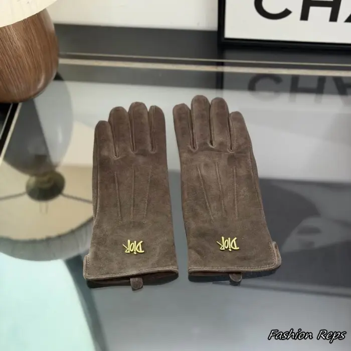 Dior Signature Metal Plaque Suede Gloves In 2 Colors